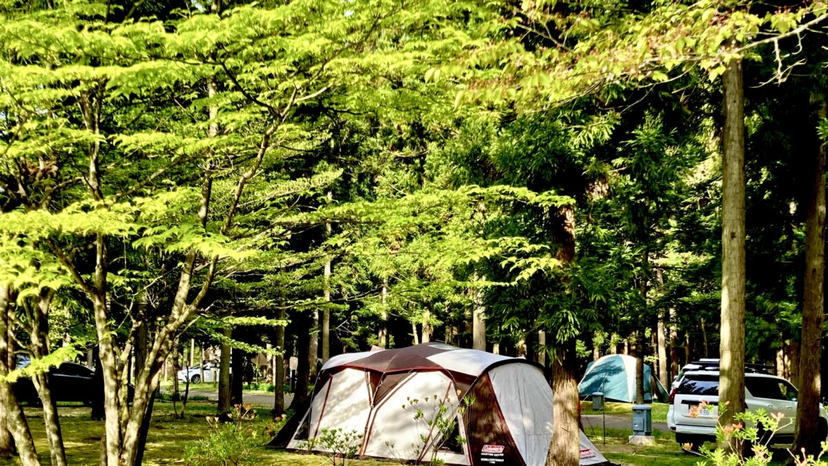 夏の特別キャンプ in 秩父⛺手ぶらで気軽に楽しもう！